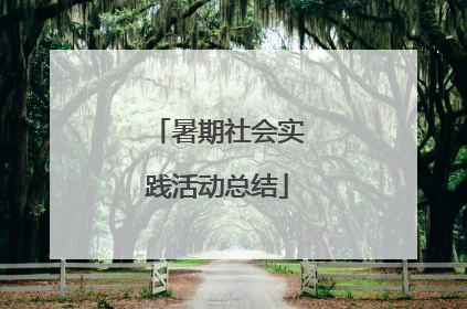 暑期社会实践活动总结