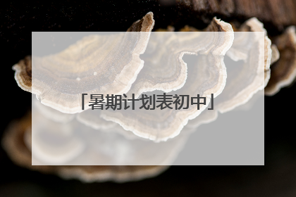 暑期计划表初中