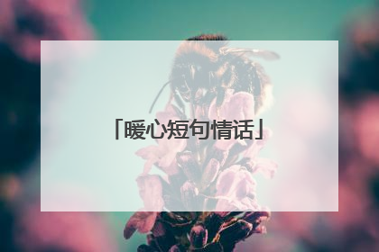 暖心短句情话