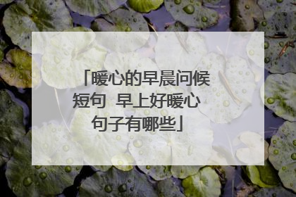 暖心的早晨问候短句 早上好暖心句子有哪些