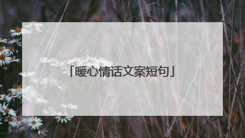 暖心情话文案短句