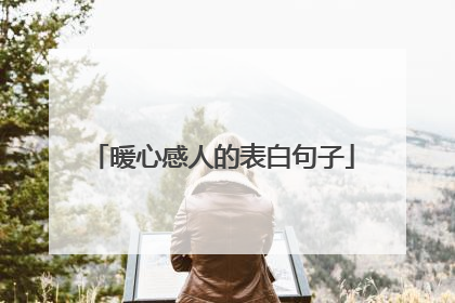 暖心感人的表白句子