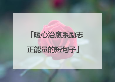 暖心治愈系励志正能量的短句子