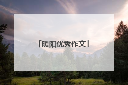 暖阳优秀作文