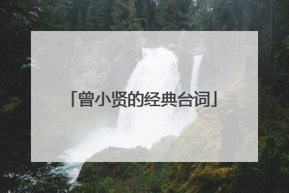 曾小贤的经典台词