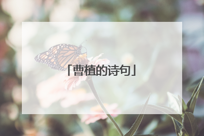 曹植的诗句