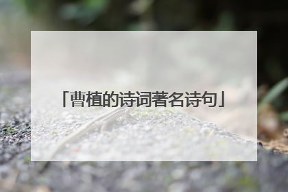 曹植的诗词著名诗句