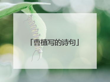 曹植写的诗句