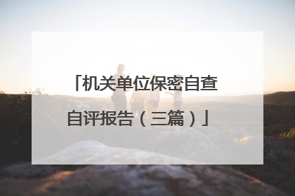 机关单位保密自查自评报告（三篇）