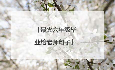 最火六年级毕业给老师句子