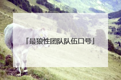 最狼性团队队伍口号