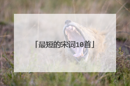 最短的宋词10首