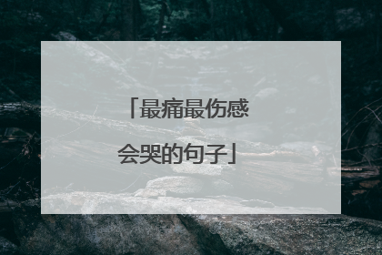 最痛最伤感会哭的句子