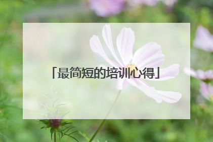 最简短的培训心得