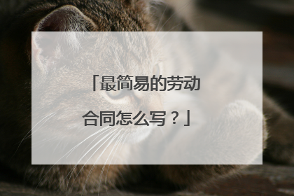 最简易的劳动合同怎么写？