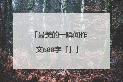 最美的一瞬间作文600字「」