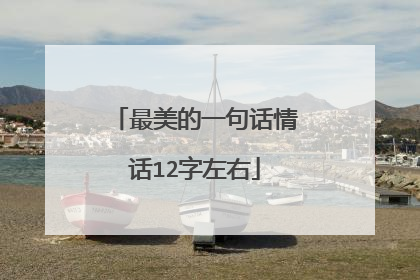 最美的一句话情话12字左右