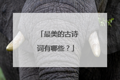 最美的古诗词有哪些?