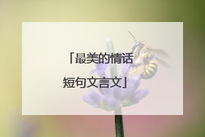 最美的情话短句文言文
