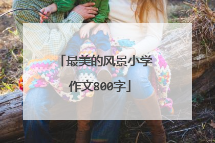 最美的风景小学作文800字