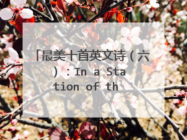 最美十首英文诗（六）：In a Station of the Metro