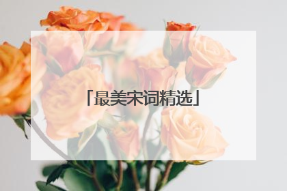 最美宋词精选