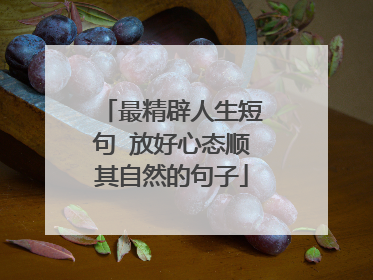 最精辟人生短句 放好心态顺其自然的句子