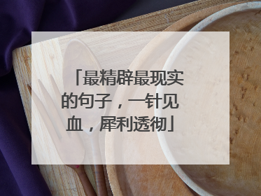 最精辟最现实的句子，一针见血，犀利透彻