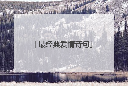 最经典爱情诗句