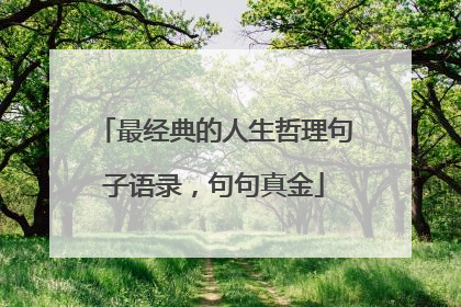 最经典的人生哲理句子语录,句句真金