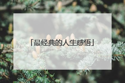 最经典的人生感悟