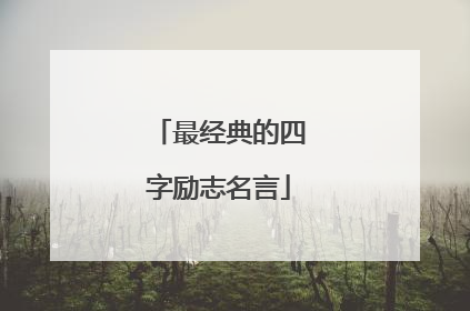 最经典的四字励志名言