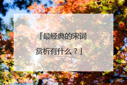 最经典的宋词赏析有什么？