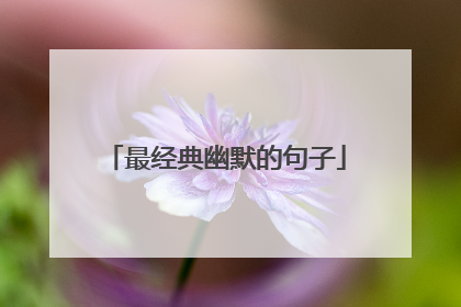 最经典幽默的句子