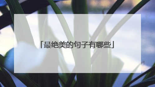 最绝美的句子有哪些