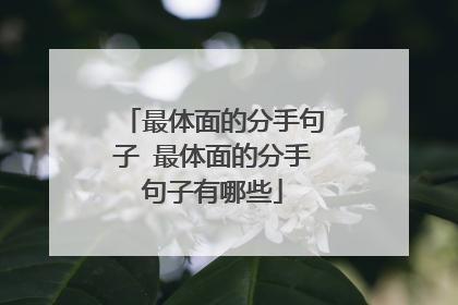 最体面的分手句子 最体面的分手句子有哪些