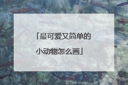 最可爱又简单的小动物怎么画