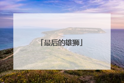 最后的雄狮