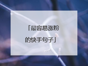 最容易涨粉的快手句子