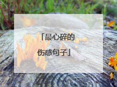 最心碎的伤感句子