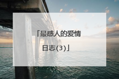 最感人的爱情日志(3)