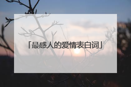 最感人的爱情表白词