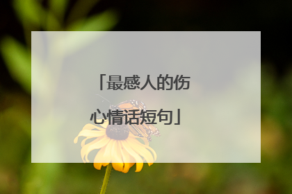 最感人的伤心情话短句