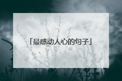 最感动人心的句子