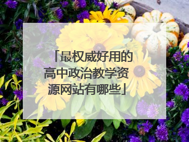 最权威好用的高中政治教学资源网站有哪些