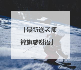 最新送老师锦旗感谢语