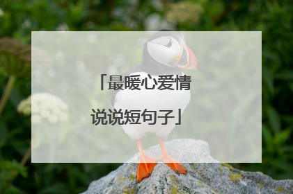 最暖心爱情说说短句子