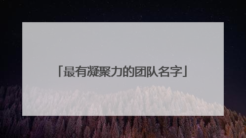 最有凝聚力的团队名字