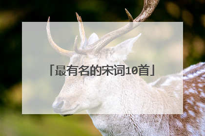 最有名的宋词10首