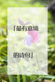 最有意境的诗句